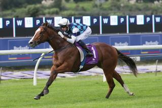 Qiji Phoenix Remains Unbeaten in Champagne Stakes. Photo: Trish Dunell.